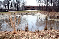 Figure 5. Photo of the stormwater pond location (Southeast Pond) at the Teterboro Airport complex in the Hackensack Meadowlands, New Jersey, in early spring. I heard southern leopard frogs calling from this site in April and June 2006. Photo taken 31 March 2006.